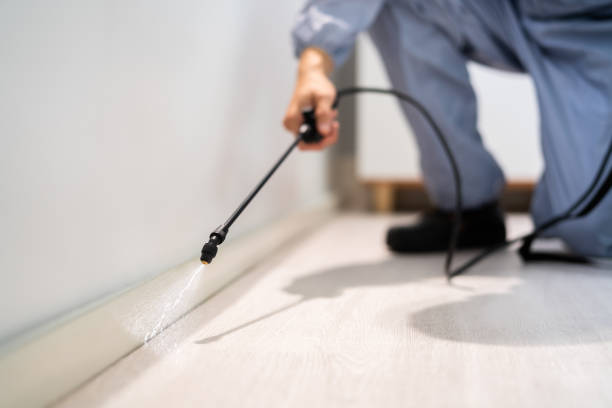 Bed Bug Pre-Treatment Preparation Assessment in Statesboro