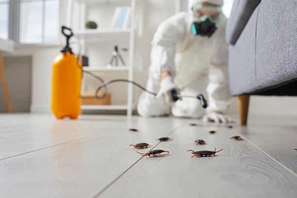 Post-Treatment Bed Bug Interceptor Monitoring in Statesboro