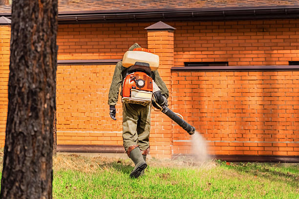 Bed Bug Clearance Verification and Documentation in Statesboro